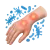 Catégories