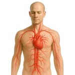 Anticoagulants