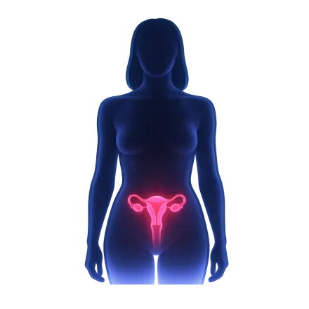 Médicaments avec des Contraceptifs