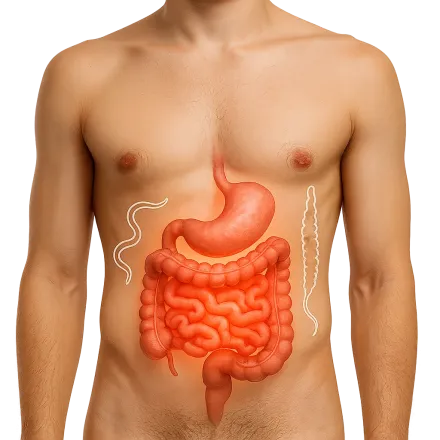 Médicaments avec des Antiparasitaires