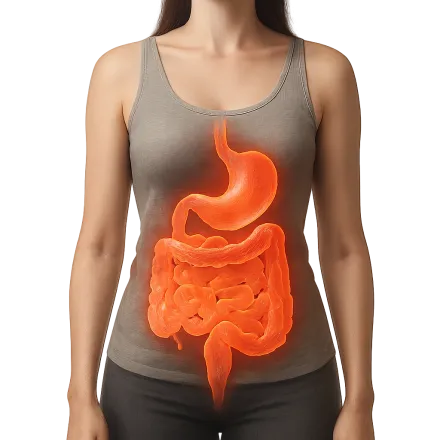 Médicaments pour les Troubles Gastro-intestinaux