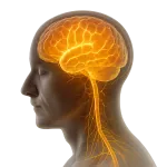 Médicaments neurologiques