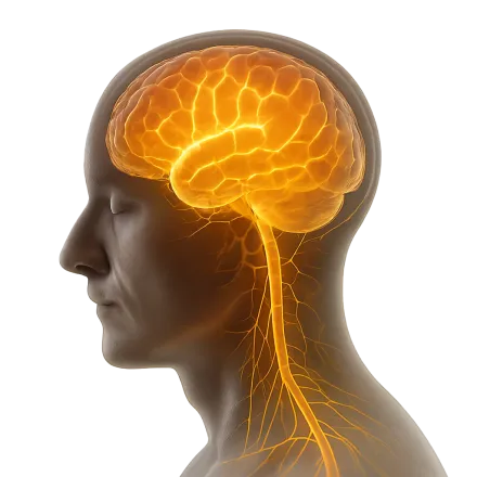 Médicaments avec des Médicaments Neurologiques