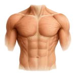 Relaxants musculaires