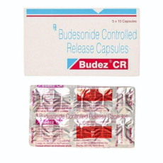 Budesonide Capsules